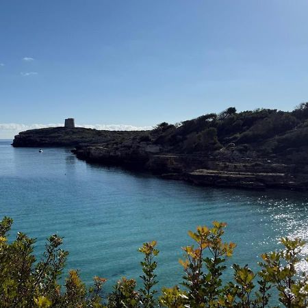 La Calma Espectacular Villa Con Jardin Y Piscina En Menorca S'Algar Exterior photo